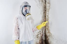 Best Environmental Consulting for Mold Prevention  in Sunrise, FL